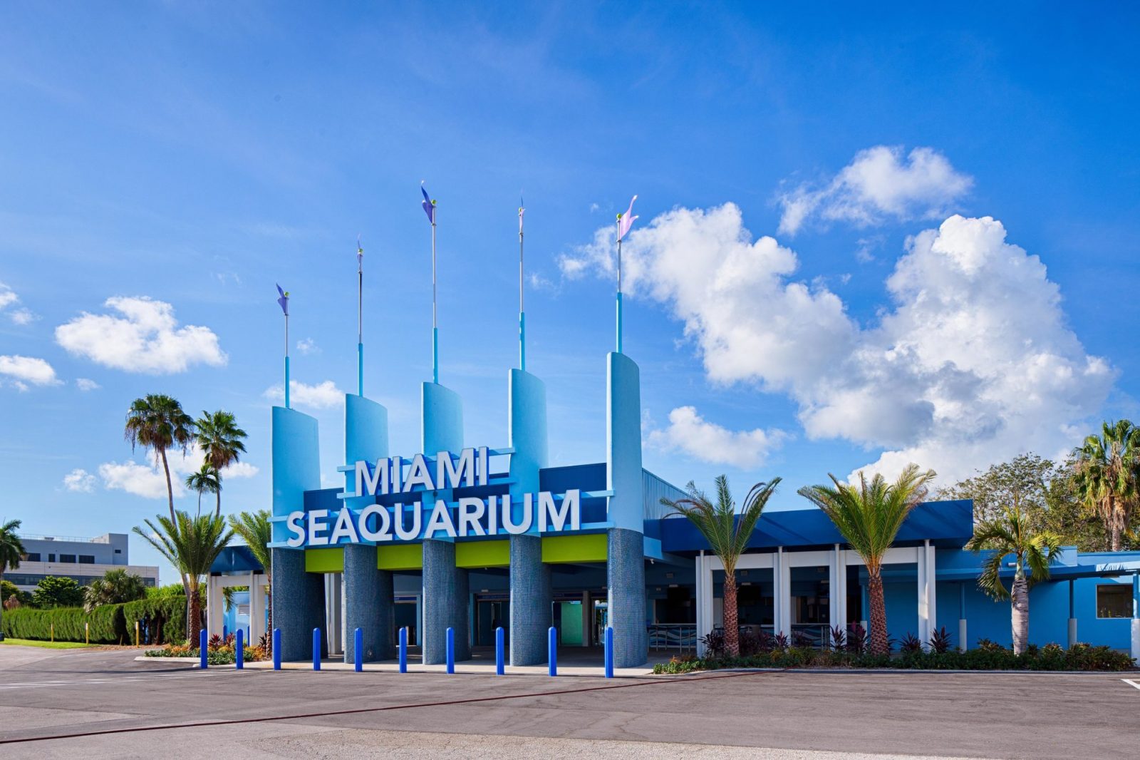 MiamiSeaquarium_007